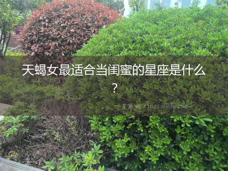 天蝎女最適合當(dāng)閨蜜的星座是什么？