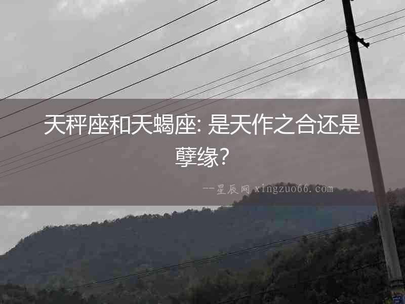 天秤座和天蝎座: 是天作之合還是孽緣？