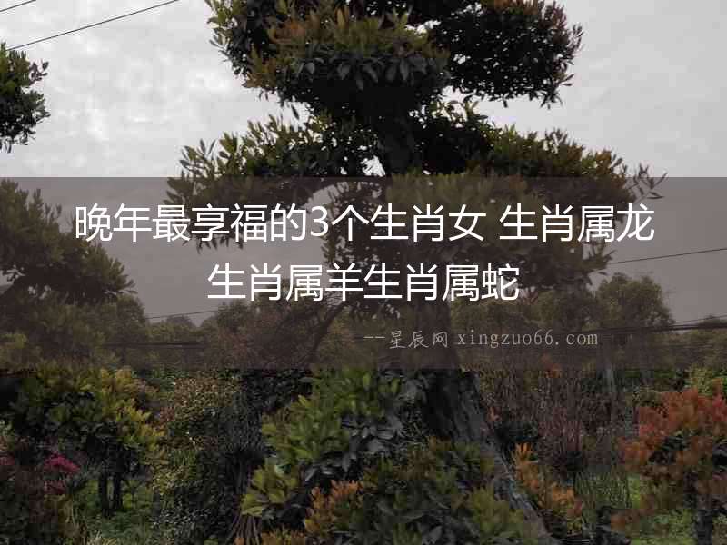 晚年最享福的3個生肖女 生肖屬龍生肖屬羊生肖屬蛇