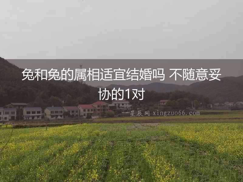 兔和兔的屬相適宜結婚嗎 不隨意妥協的1對