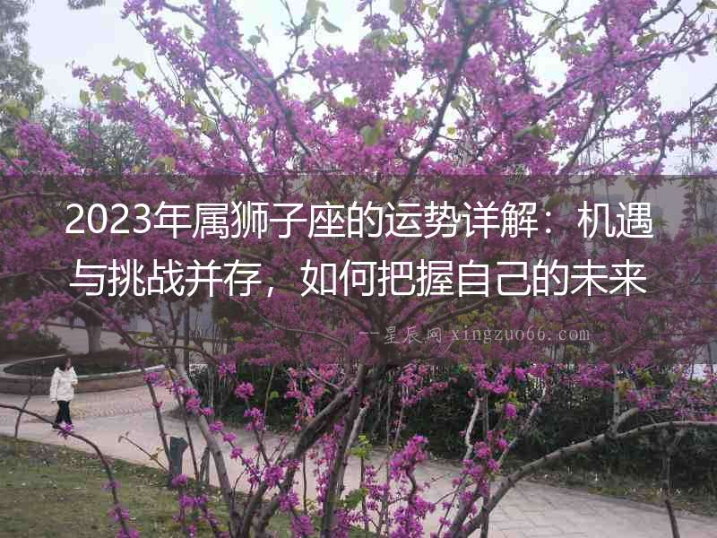2023年屬獅子座的運勢詳解：機遇與挑戰并存，如何把握自己的未來