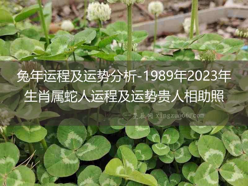 兔年運(yùn)程及運(yùn)勢(shì)分析-1989年2023年生肖屬蛇人運(yùn)程及運(yùn)勢(shì)貴人相助照料爭(zhēng)取機(jī)遇