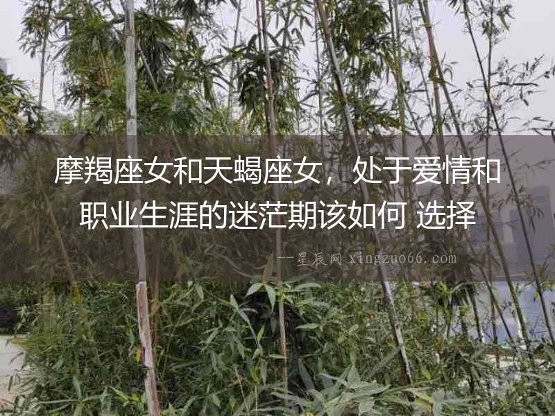 摩羯座女和天蝎座女，處于愛情和職業生涯的迷茫期該如何 選擇
