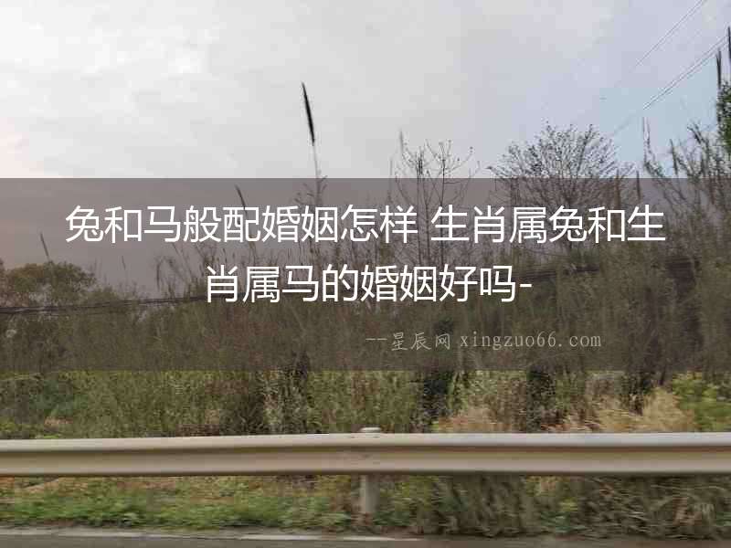 兔和馬般配婚姻怎樣 生肖屬兔和生肖屬馬的婚姻好嗎-