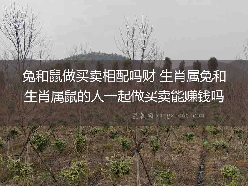 兔和鼠做買賣相配嗎財 生肖屬兔和生肖屬鼠的人一起做買賣能賺錢嗎