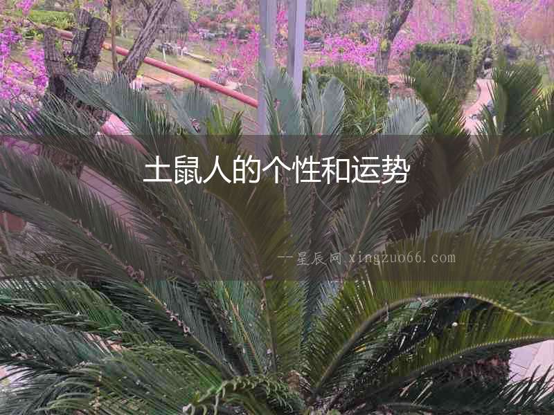 土鼠人的個性和運勢