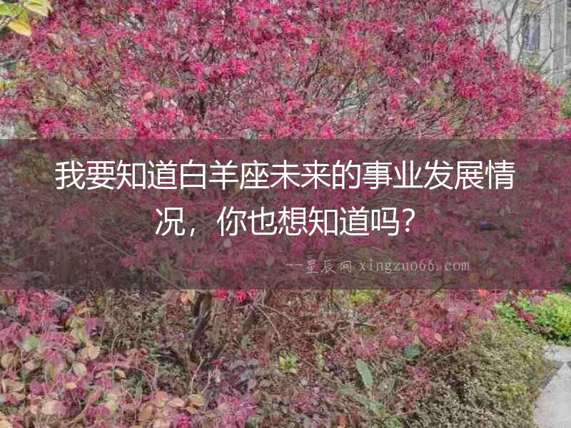 我要知道白羊座未來的事業(yè)發(fā)展情況，你也想知道嗎？