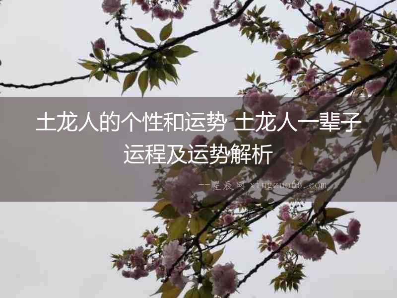 土龍人的個(gè)性和運(yùn)勢(shì) 土龍人一輩子運(yùn)程及運(yùn)勢(shì)解析