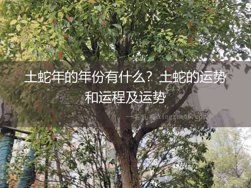 土蛇年的年份有什么？土蛇的運勢和運程及運勢
