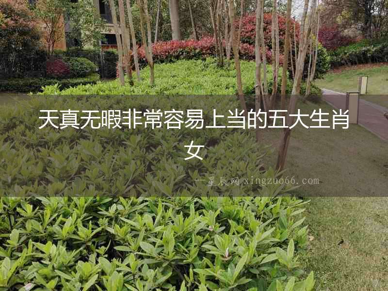 天真無(wú)暇非常容易上當(dāng)?shù)奈宕笊づ? alt=