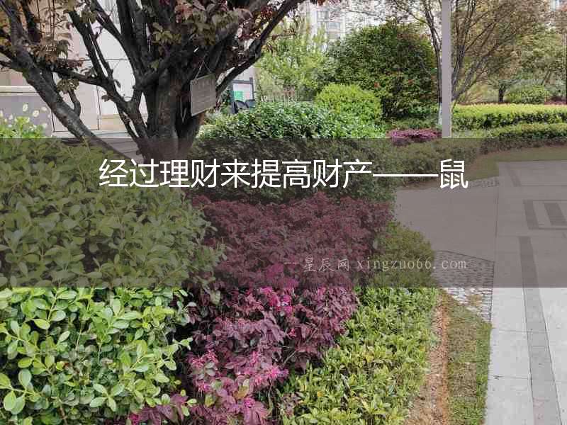 經(jīng)過理財來提高財產(chǎn)——鼠