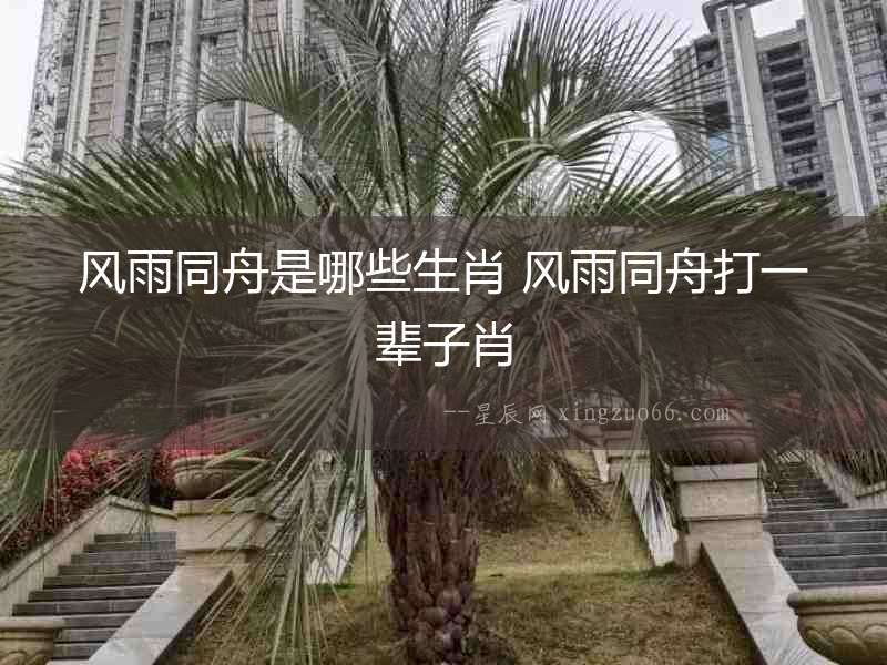 風(fēng)雨同舟是哪些生肖 風(fēng)雨同舟打一輩子肖