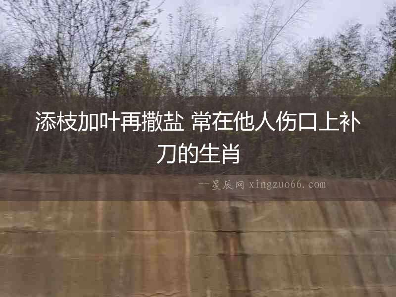 添枝加葉再撒鹽 常在他人傷口上補刀的生肖