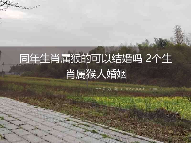 同年生肖屬猴的可以結(jié)婚嗎 2個(gè)生肖屬猴人婚姻