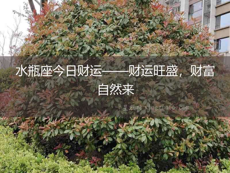 水瓶座今日財運——財運旺盛，財富自然來