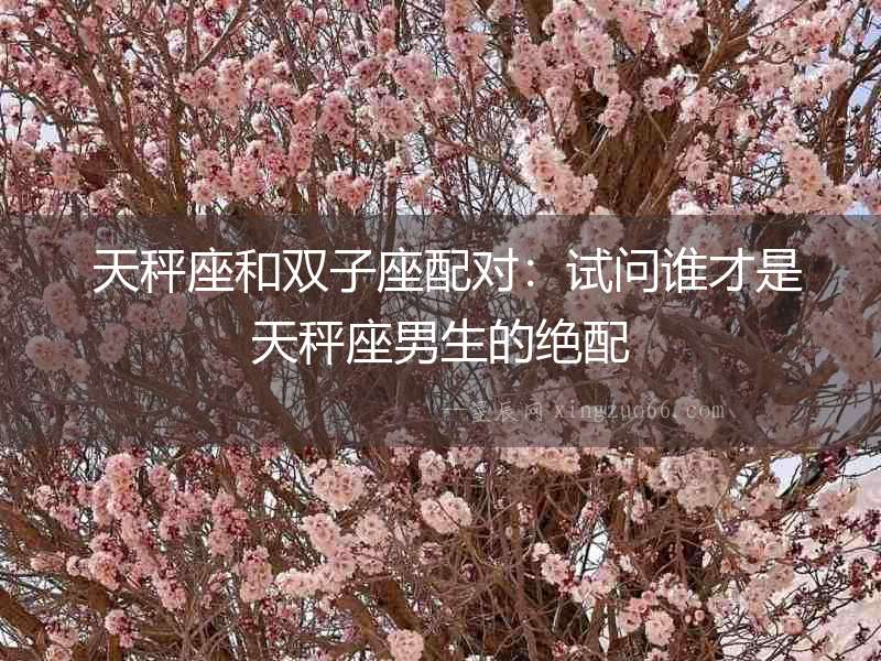  天秤座和雙子座配對(duì)：試問誰才是天秤座男生的絕配