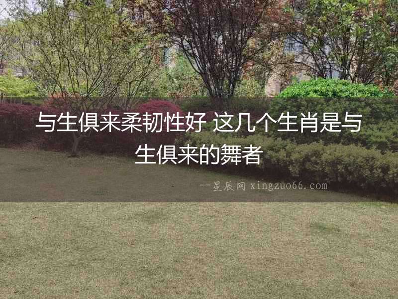 與生俱來柔韌性好 這幾個(gè)生肖是與生俱來的舞者