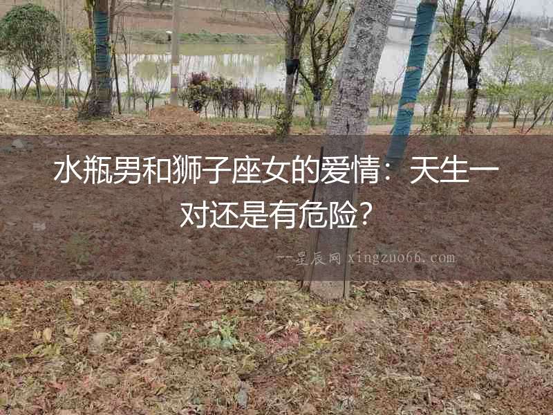 水瓶男和獅子座女的愛情：天生一對還是有危險？