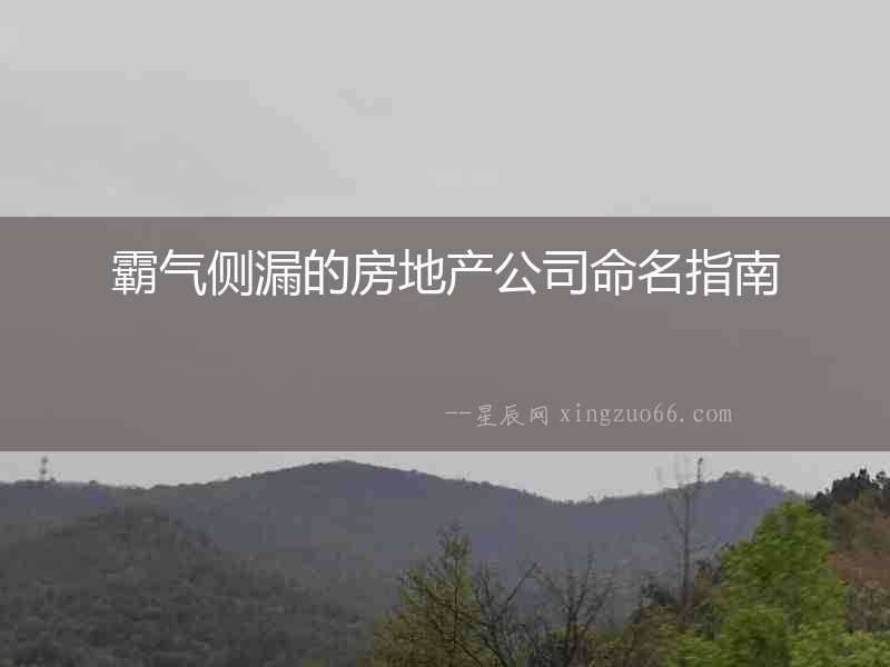 霸氣側漏的房地產(chǎn)公司命名指南
