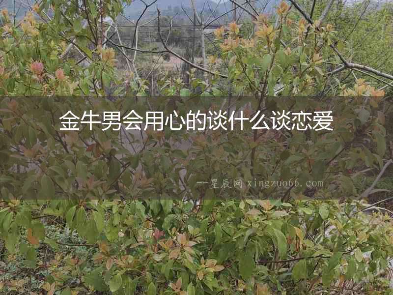金牛男會(huì)用心的談什么談戀愛(ài)