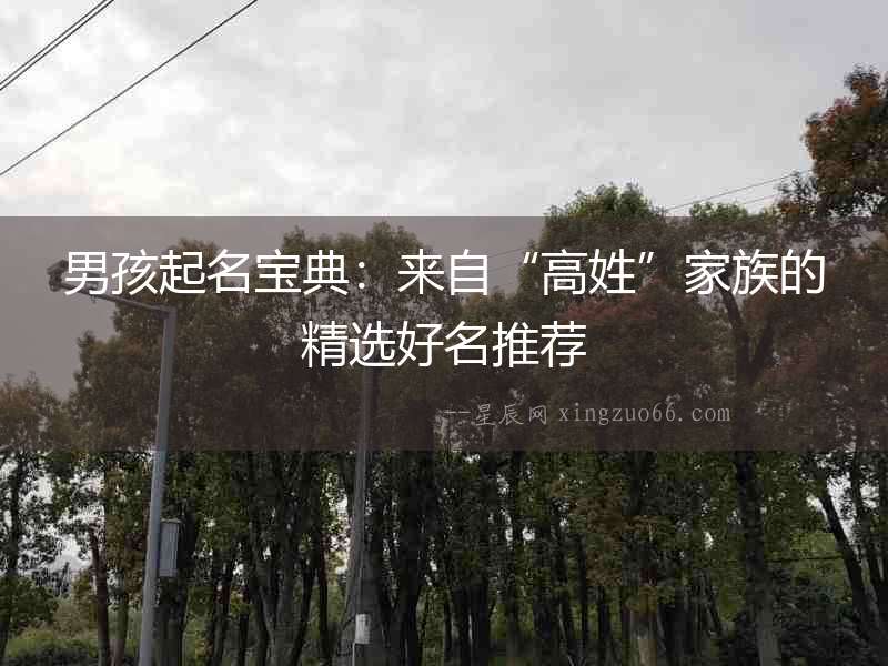 男孩起名寶典：來自“高姓”家族的精選好名推薦