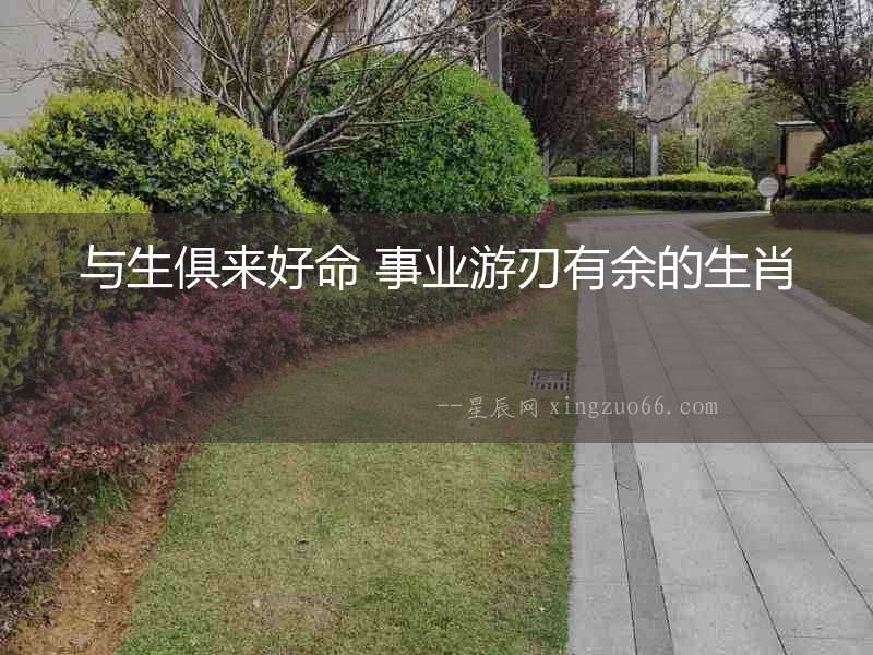 與生俱來好命 事業游刃有余的生肖