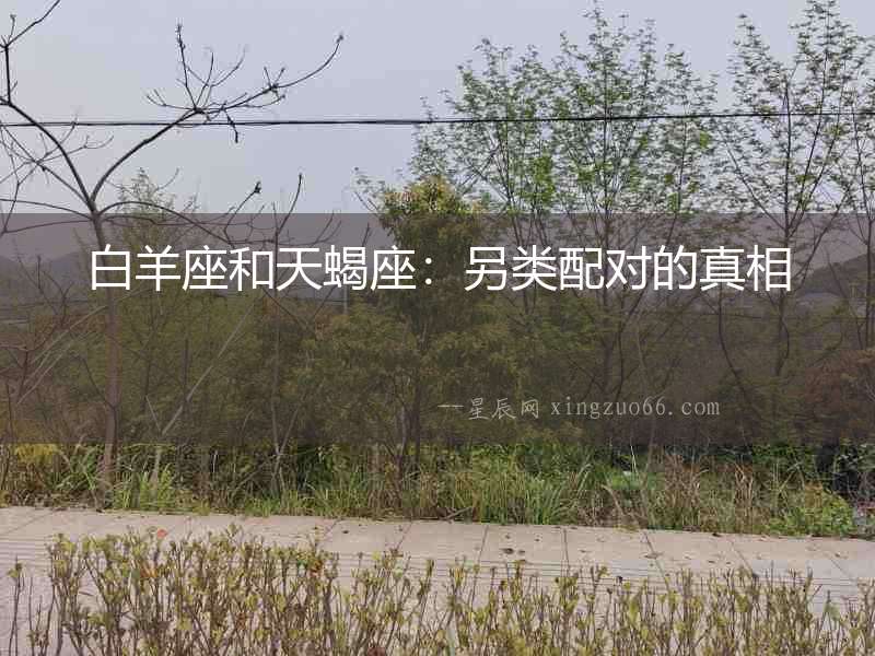 白羊座和天蝎座：另類配對的真相