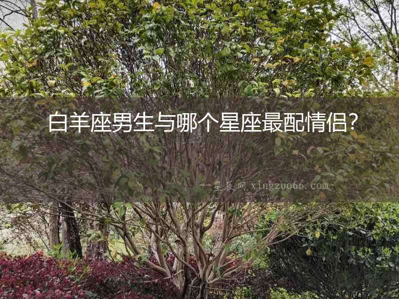  白羊座男生與哪個(gè)星座最配情侶？