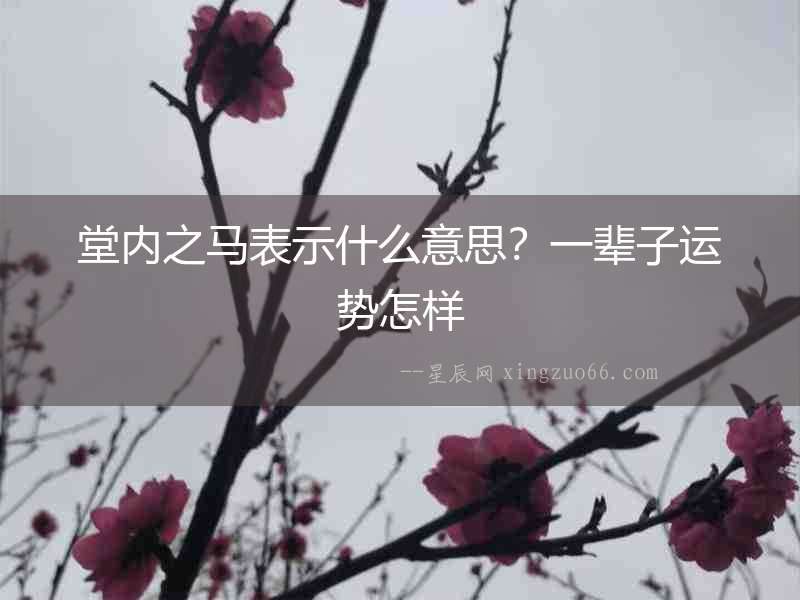 堂內(nèi)之馬表示什么意思？一輩子運(yùn)勢(shì)怎樣