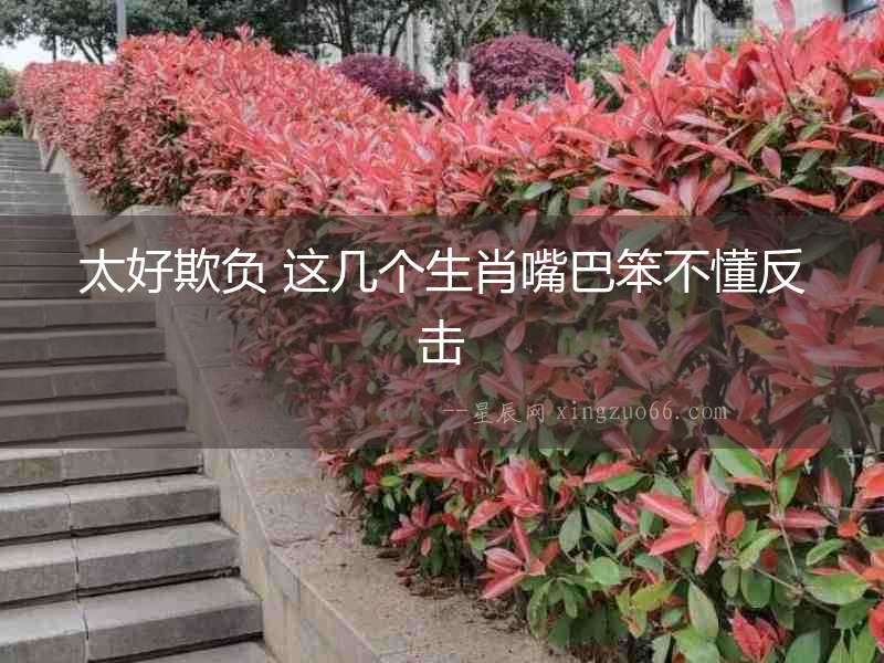太好欺負(fù) 這幾個生肖嘴巴笨不懂反擊
