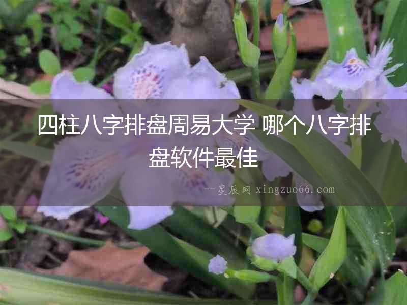 四柱八字排盤周易大學(xué) 哪個(gè)八字排盤軟件最佳