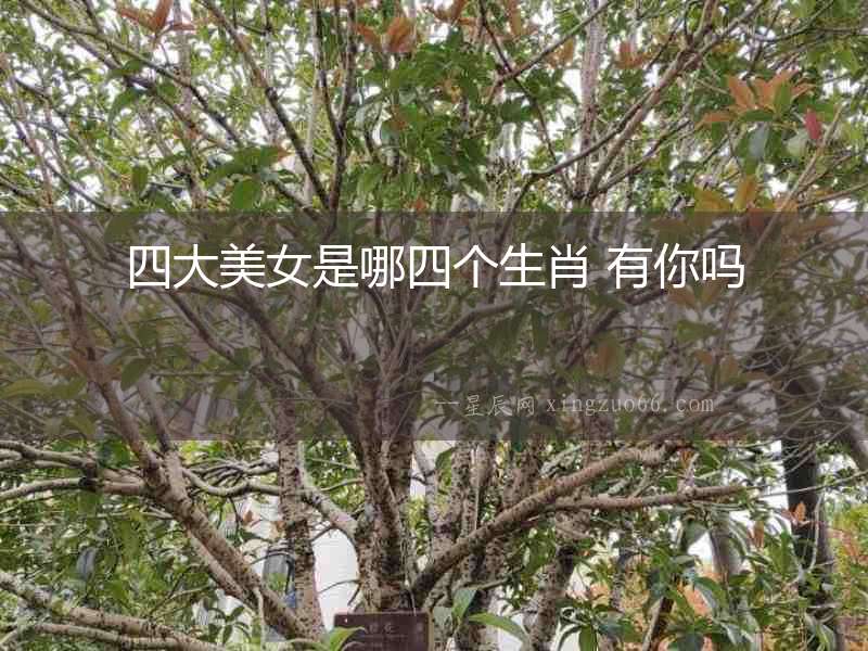 四大美女是哪四個生肖 有你嗎