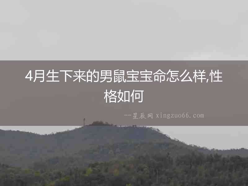 4月生下來的男鼠寶寶命怎么樣,性格如何