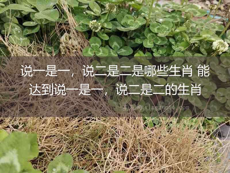 說一是一，說二是二是哪些生肖 能達到說一是一，說二是二的生肖