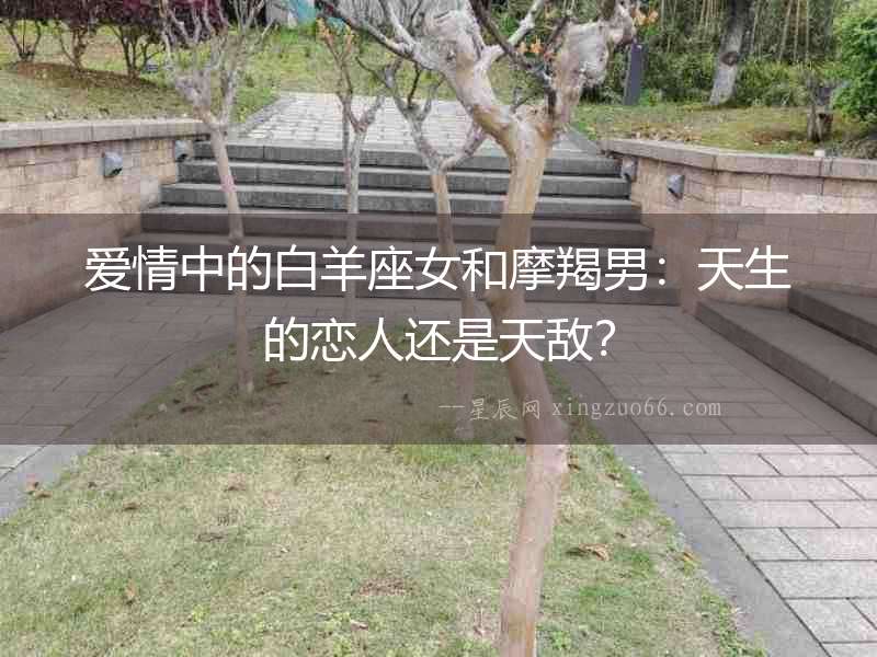 愛情中的白羊座女和摩羯男：天生的戀人還是天敵？