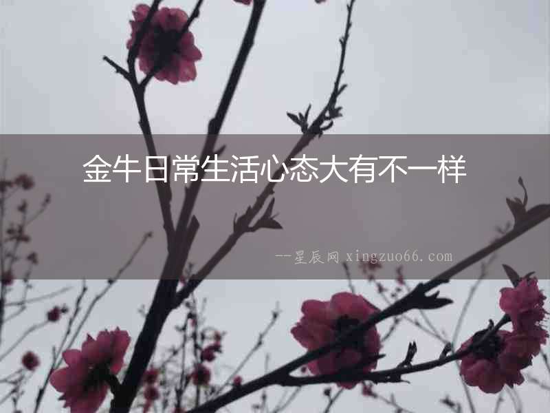 金牛日常生活心態大有不一樣