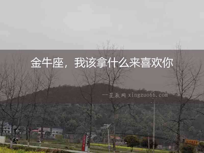 金牛座，我該拿什么來喜歡你