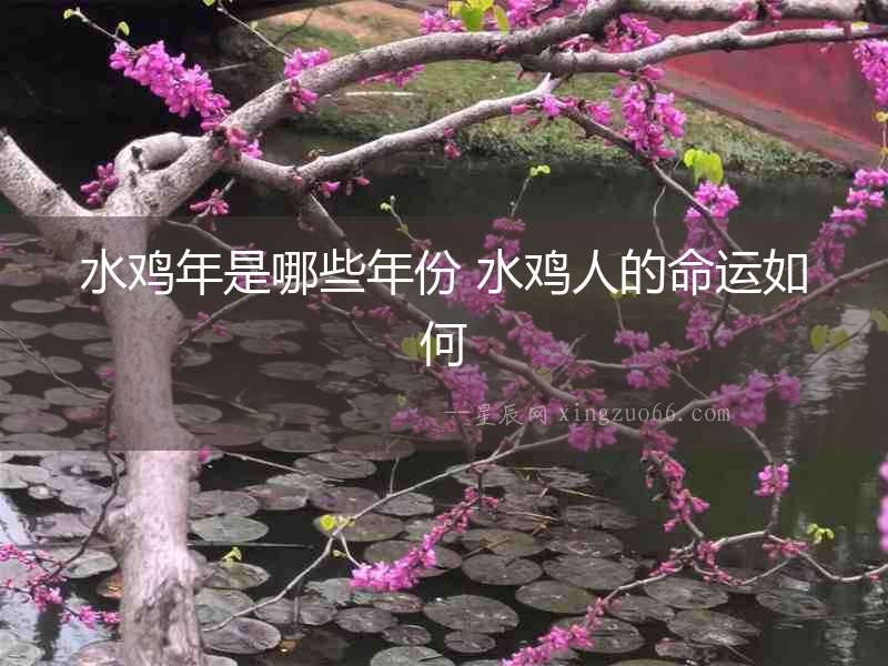 水雞年是哪些年份 水雞人的命運如何