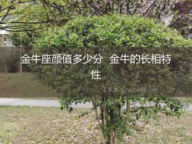 金牛座顏值多少分  金牛的長(zhǎng)相特性