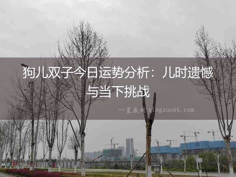 狗兒雙子今日運勢分析：兒時遺憾與當下挑戰