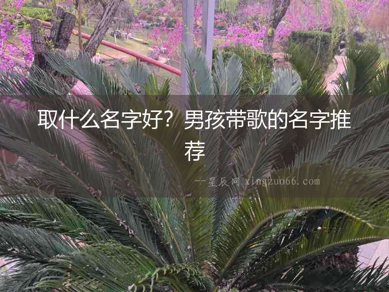 取什么名字好？男孩帶歌的名字推薦