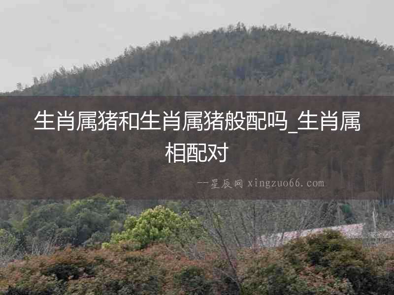 生肖屬豬和生肖屬豬般配嗎_生肖屬相配對