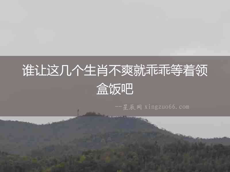 誰讓這幾個(gè)生肖不爽就乖乖等著領(lǐng)盒飯吧