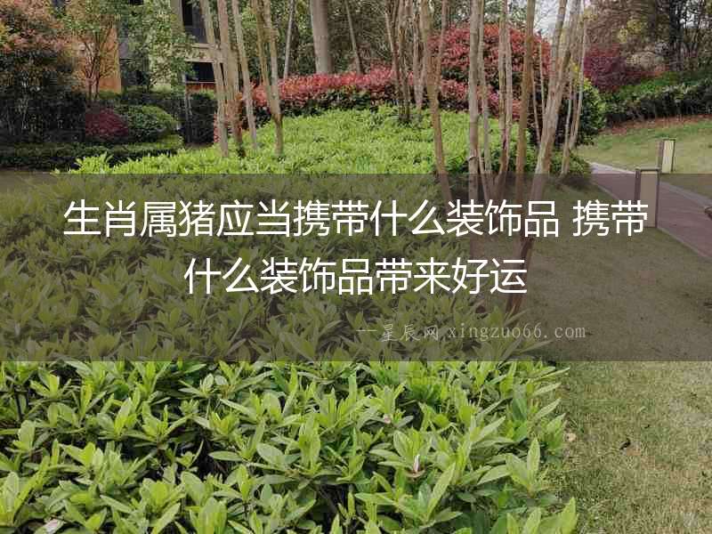 生肖屬豬應(yīng)當(dāng)攜帶什么裝飾品 攜帶什么裝飾品帶來好運(yùn)