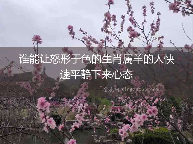 誰能讓怒形于色的生肖屬羊的人快速平靜下來心態(tài)