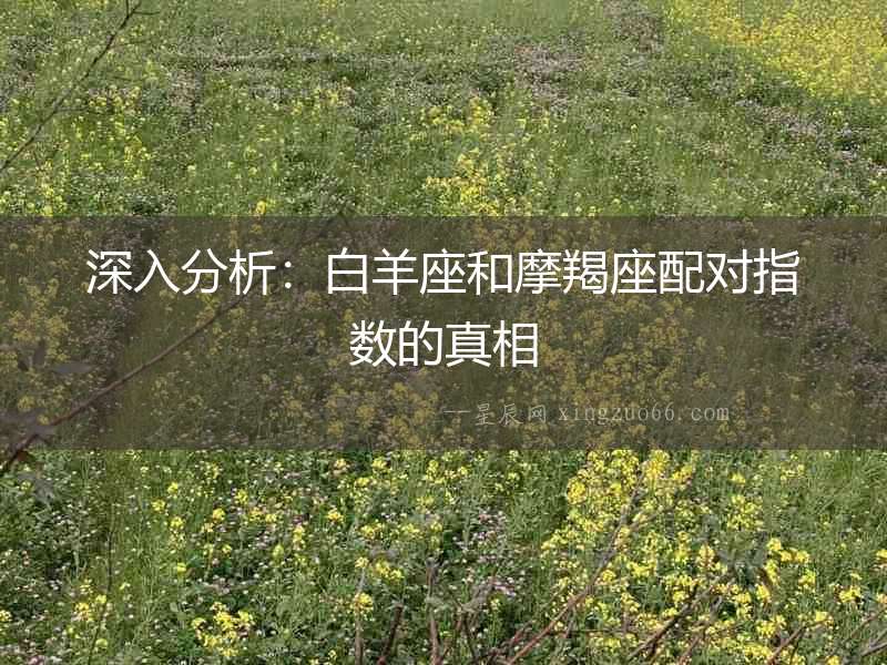 深入分析：白羊座和摩羯座配對(duì)指數(shù)的真相