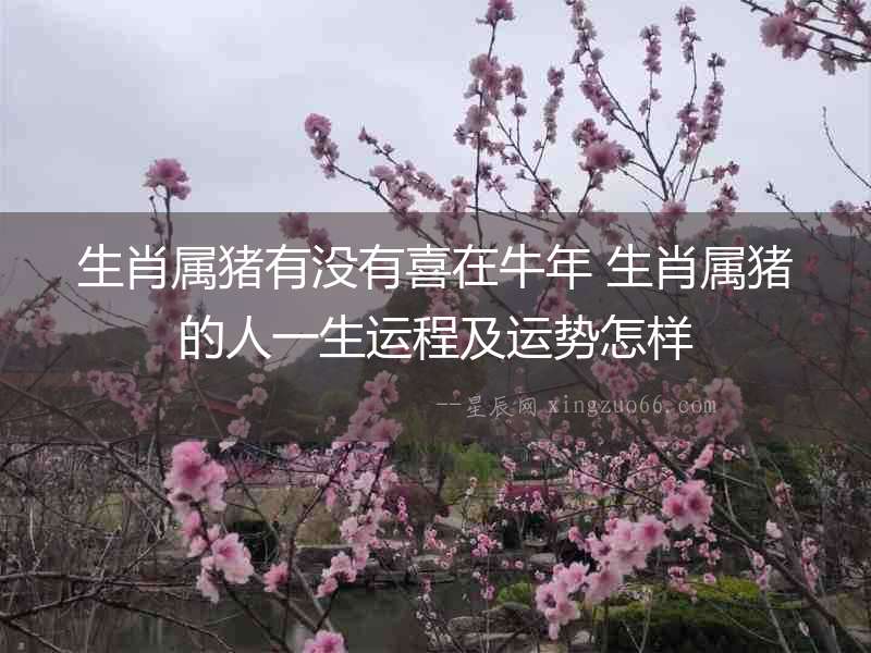 生肖屬豬有沒有喜在牛年 生肖屬豬的人一生運(yùn)程及運(yùn)勢(shì)怎樣