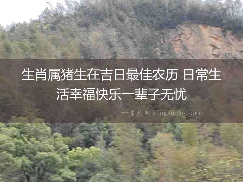 生肖屬豬生在吉日最佳農歷 日常生活幸福快樂一輩子無憂