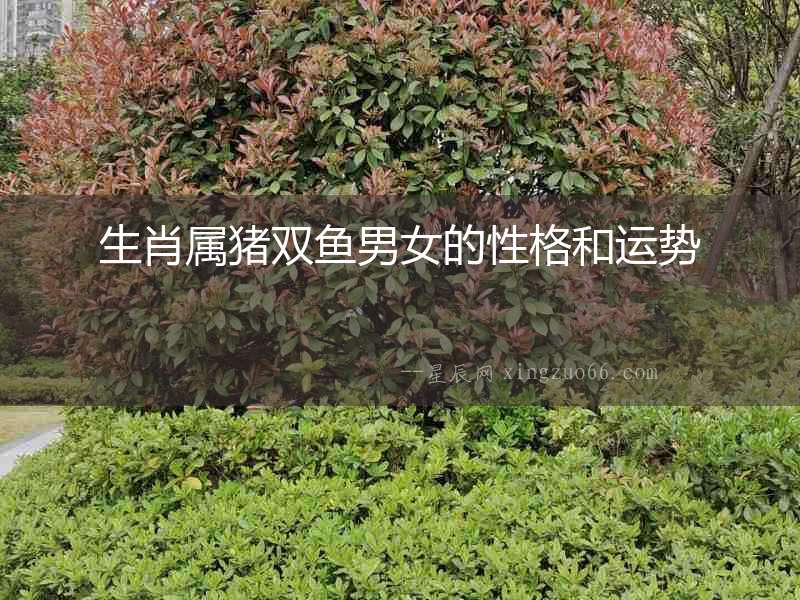 生肖屬豬雙魚男女的性格和運勢