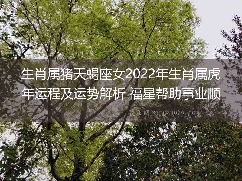 生肖屬豬天蝎座女2022年生肖屬虎年運程及運勢解析 福星幫助事業順利